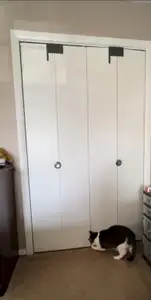 UPDATED: Anti-Cat/Child Bifold Door (Accordion/Folding Door) Doorstop With Double Hanger