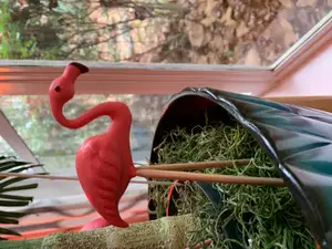 Flamingo remix by Angelo Santarella/asdesign