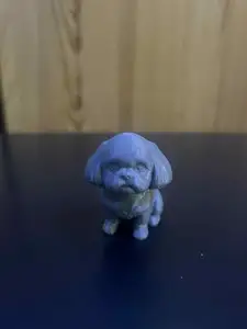 Cute Shih Tzu