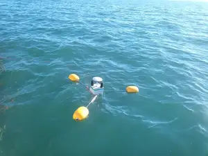 tripod buoy Physalia