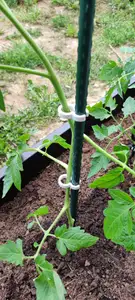 Simple plant clip