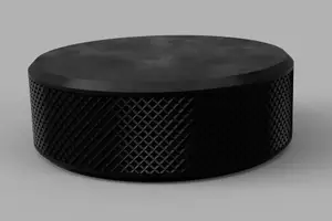 Ice Hockey Puck