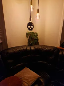 Low poly Skull lamp screen