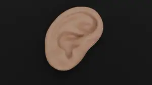 Ear necklace/pendant