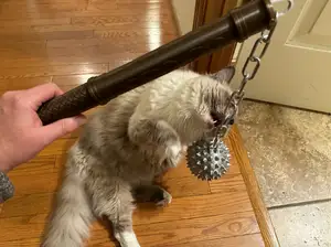 Ball and Chain Medieval Weapon Prop (No Glue Required)