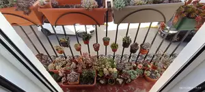 Plant pot support