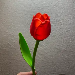 Beautiful Tulip With Stem - Best Valentine’s Day Gift