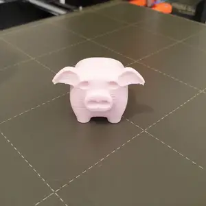 Little pig