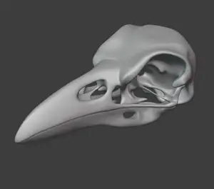 Raven skull no supports