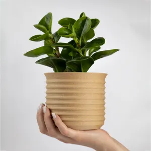 Ribbed Planter