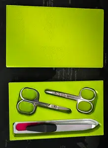 Manicure case