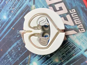 KZ ZSN Pro-adjacent headphone loom-holder-case-thing
