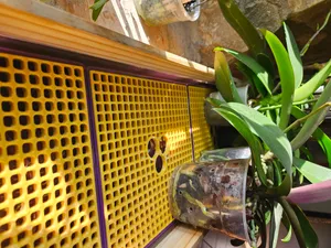 Humidity Tray (especially for orchids)