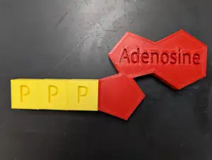 Magnetic ATP Model