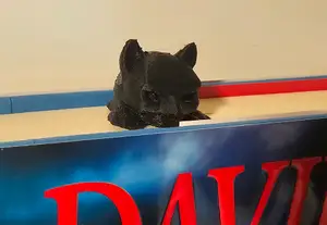 BatCat Bookmark