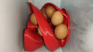 Fridge spiral egg holder