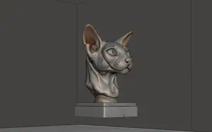Sphynx Cat Head