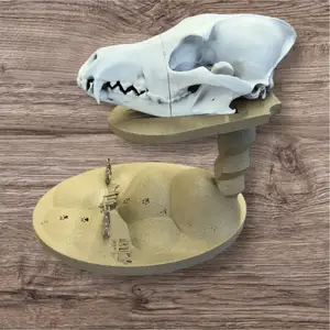 Coyote & Badger Skull Display Stand — Western Fence Terrain Base | Hunting Cabin Decor | STL 3D Printable
