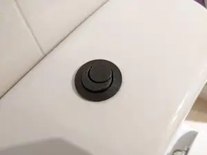 Roca Toilet Flush Button