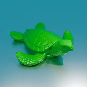 Sea Turtle