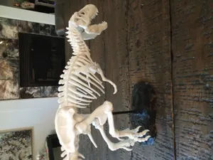 T-Rex Skeleton