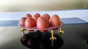 Design Egg stand storage system Chicken, Snake or whatever :)