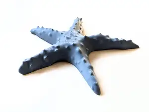 starfish