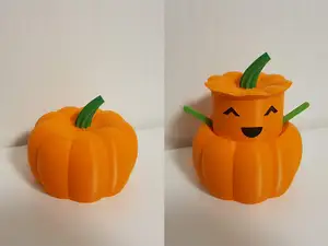 Happy little pumpkin