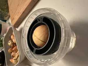 Openable Avocado Seed Floater - no bottom support layer