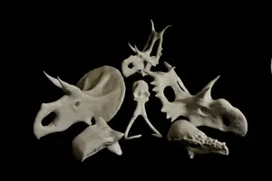 Dinosaur Skulls - Bone Head Bundle