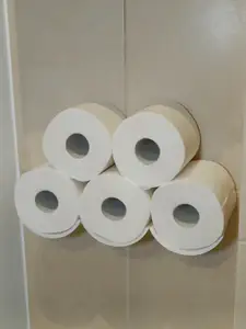 Toilet paper shelf