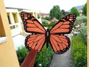 Monarch Butterfly