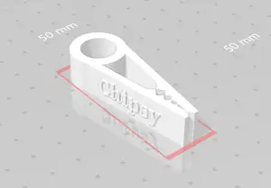 Clip on a bag with the inscription chips