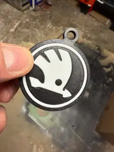 Skoda logo on key, key ring
