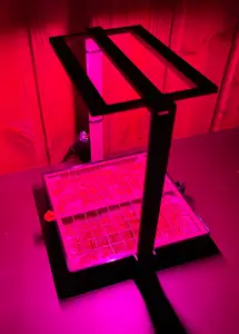 Microgreens