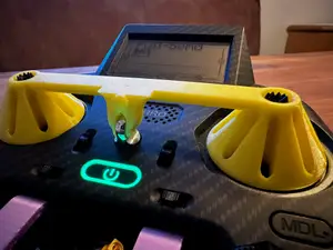 Radiomaster zorro gimbal protector