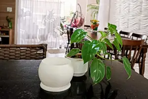 Classic Round Support for Plant Pot of Dulf