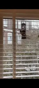 Suet Fat Ball Feeder