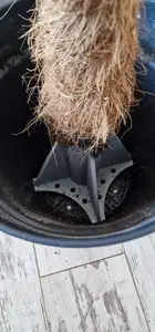 Coco Fiber Plant Pole Stand