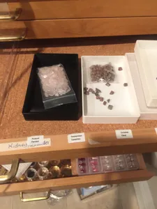 Bead Holder/Sorter