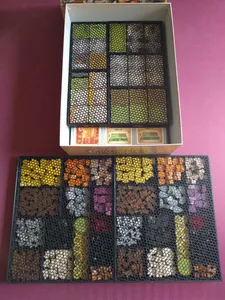 Caverna Insert + Resource Trays (great for 2 players)