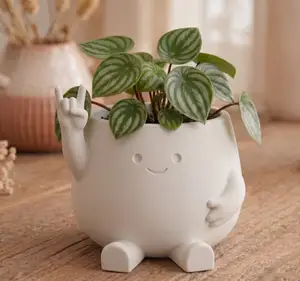 Rock Pot - Cute Smiley Face Planter