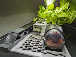 Aquaponics setup for Aqueon 72 bow front