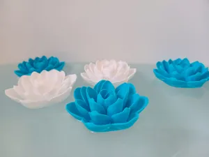 Bathtub Lotus
