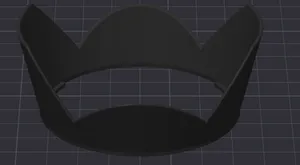Canon 18-55 STM lens Hood
