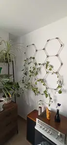 Living wall support for trailing plant