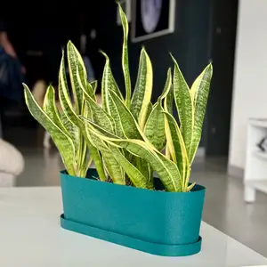 Long pot