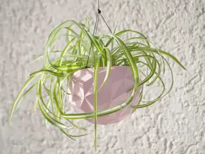 Geodesic Hanging Planter Pot