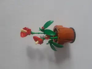 Tiny plants display hanger