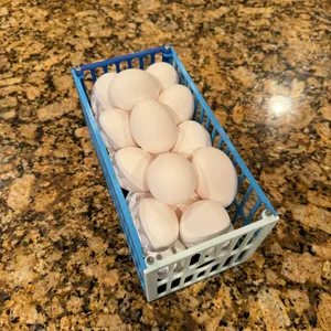 Egg Storage Box for fridge